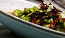 麻豆荚,揭秘植物繁殖的奇妙奥秘