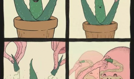 四格漫画,幽默演绎生活百态